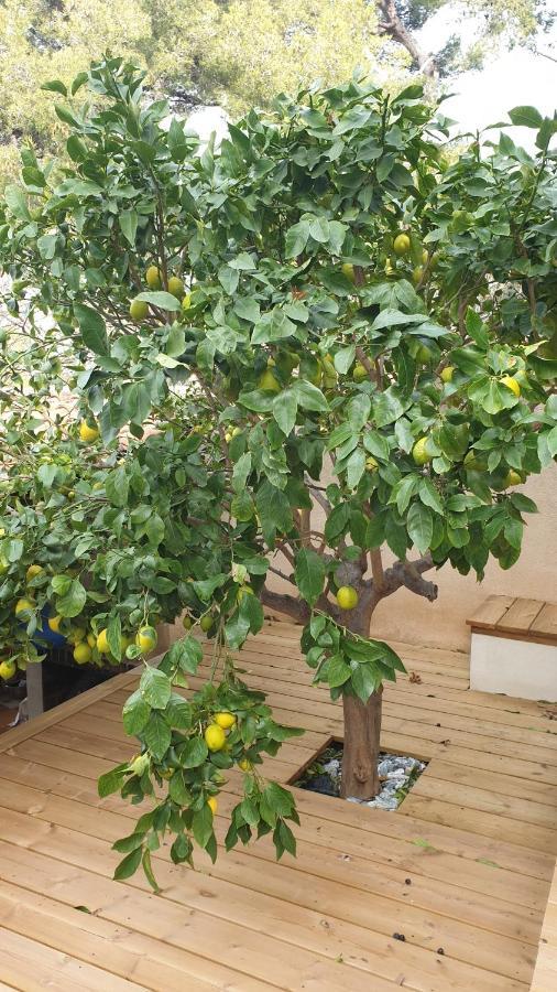 Les Terrasses Des Anthenors Ensues-la-Redonne Exterior foto